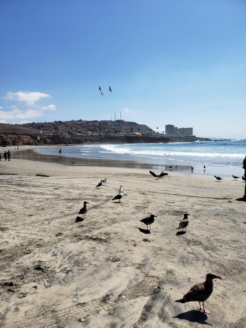 Calfia Condo Rosarito Dış mekan fotoğraf